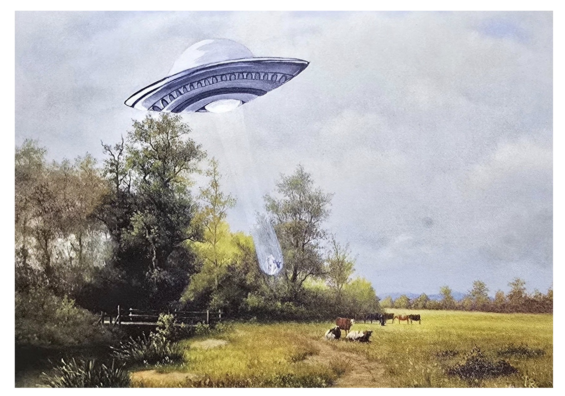 Kuh Entführung - Postkarte – Bild 2