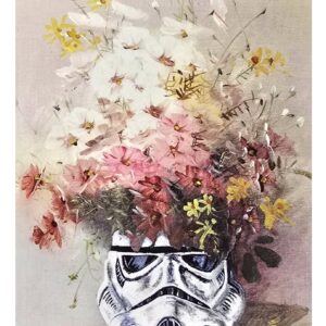 510972256_1143793411121961_2859210733336369823_n